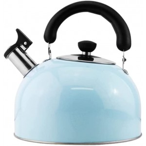 OYYMTE 304 bouilloire en acier inoxydable sifflet de ménage grande capacité Théières pour cuisinière Color : Blue Size : 3L - B09W9NJFYWM